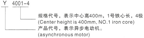 西安泰富西玛Y系列(H355-1000)高压YKS5002-8三相异步电机型号说明