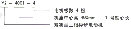 YR系列(H355-1000)高压YKS5002-8三相异步电机西安西玛电机型号说明